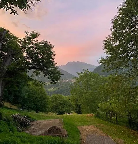 Nest 赫拉弗多纳